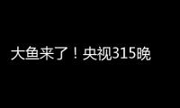 大鱼来了！央视315晚会点名“宝马传动轴”问题